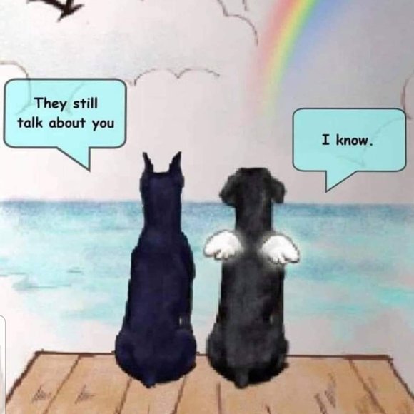 Meet your Posher, Beatrice - Picture 12 of 12